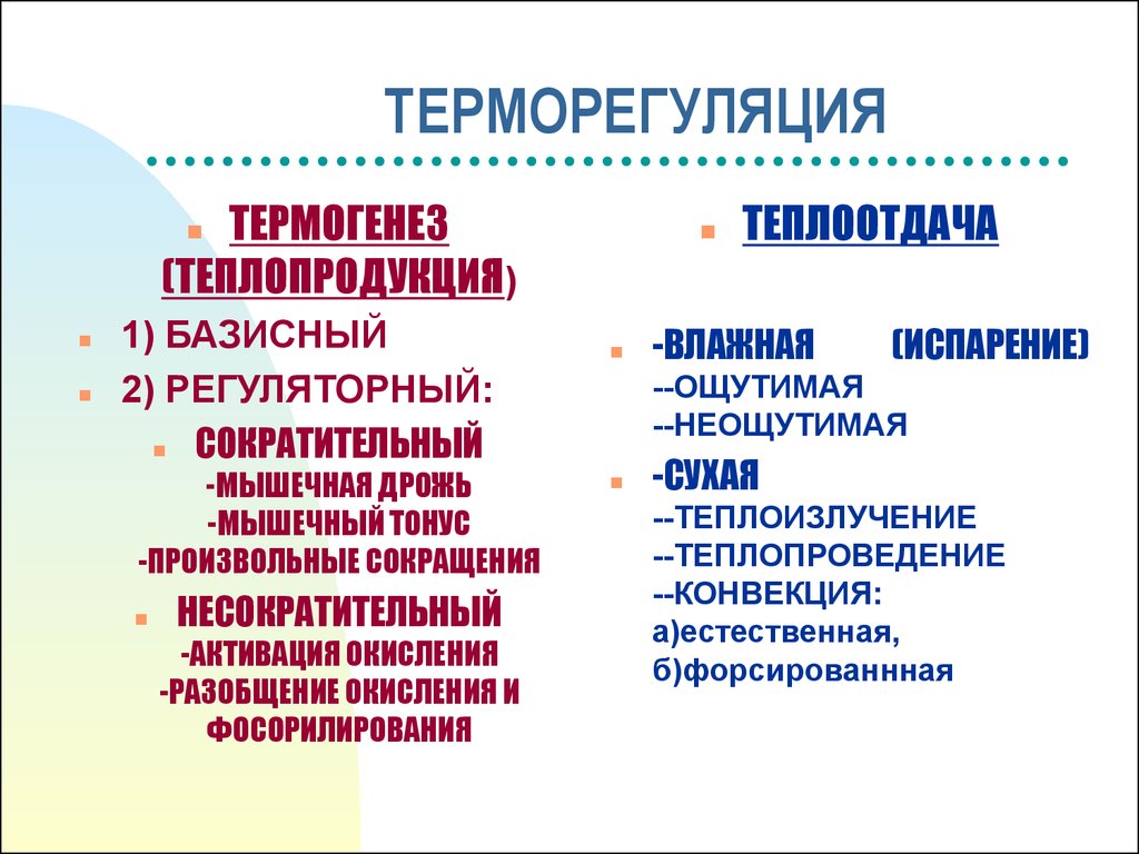 Терморегуляция. Виды теплопродукции. Виды термогенеза. Терморегуляция теплопродукция и теплоотдача.