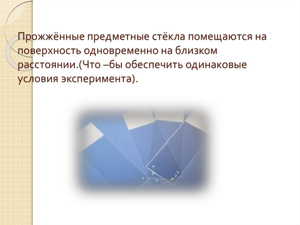 Прожжённые предметные стёкла помещаются на поверхность одновременно на близком расстоянии.(Что –бы обеспечить одинаковые