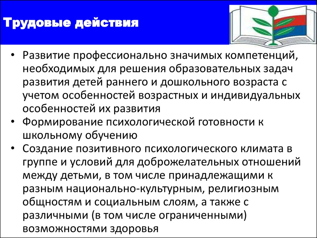 Профессиональный стандарт педагога функции