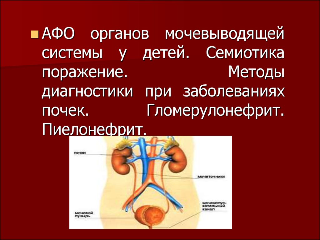 Мочевыводящие пути. Семиотика заболеваний органов мочевыводящей системы.. Афо мочеполовой системы у детей. Афо почек. Семиотика поражения почек у детей.