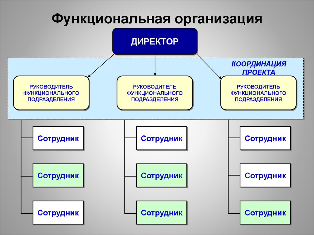 Организации функциональной деятельности и управления