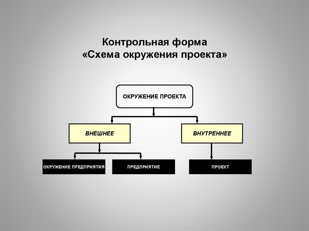 Контрольная форма «Схема окружения проекта»