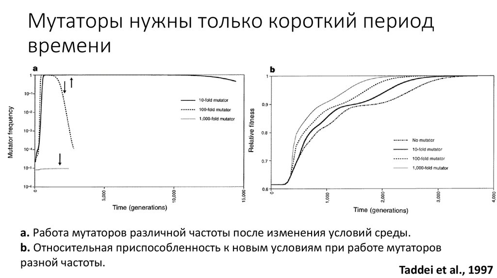 В течение короткого периода. Период времени. Мутаторы функции.