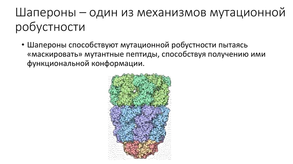 Роль белков шаперонов. Биохимия шапероны строение. Молекулярные шапероны функции. Структура шаперонов. Шапероны строение.