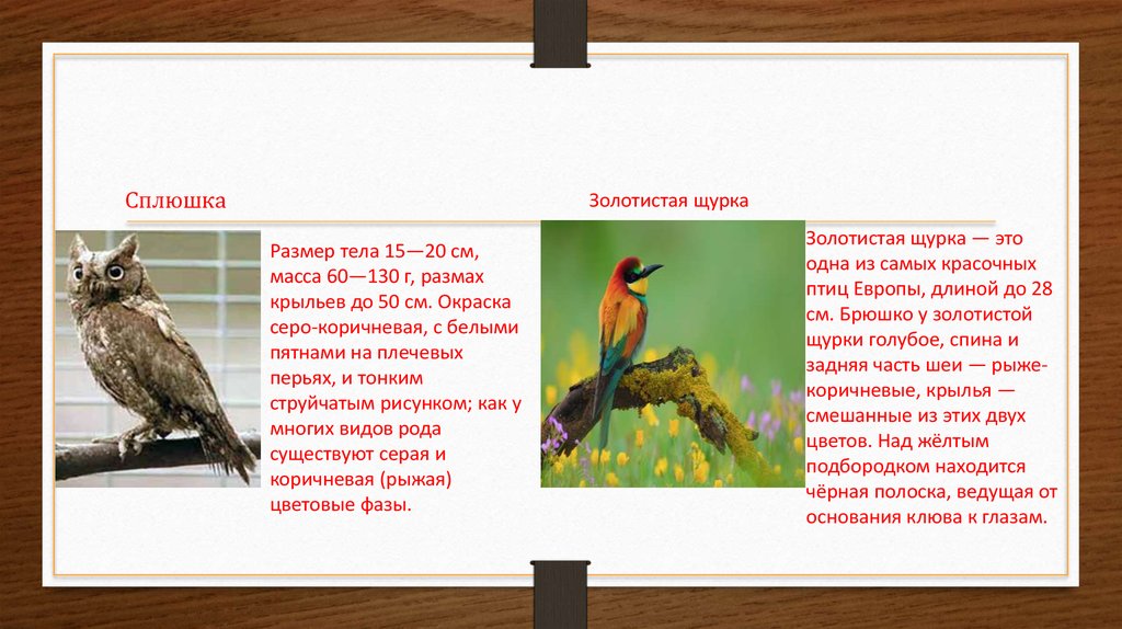 Красная книга татарстана растения и животные фото описание