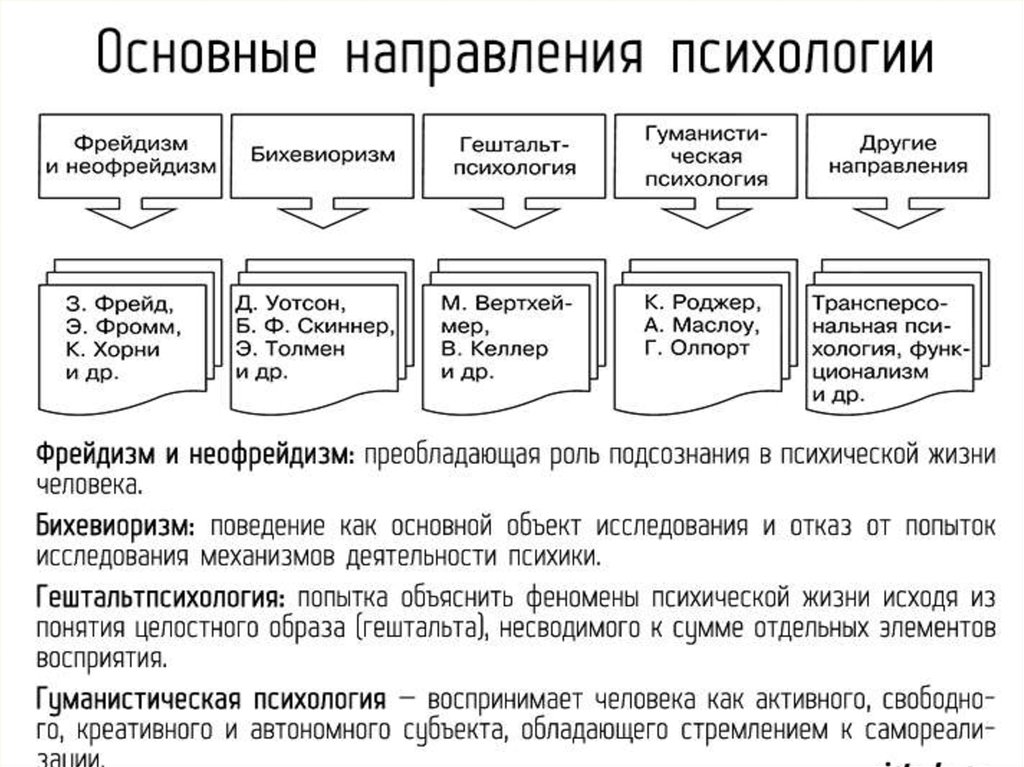 Укажите элементы блок схемы история психологии