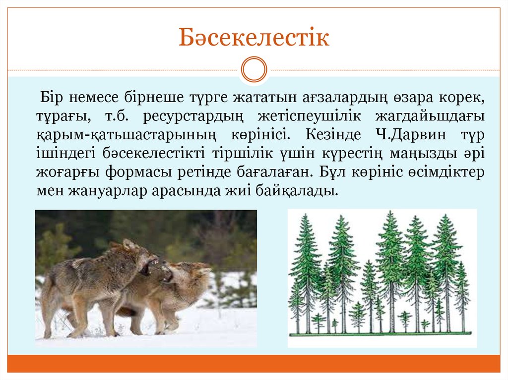 Жануарлар арасындағы қарым қатынас. Бәсекелестік дегеніміз не.