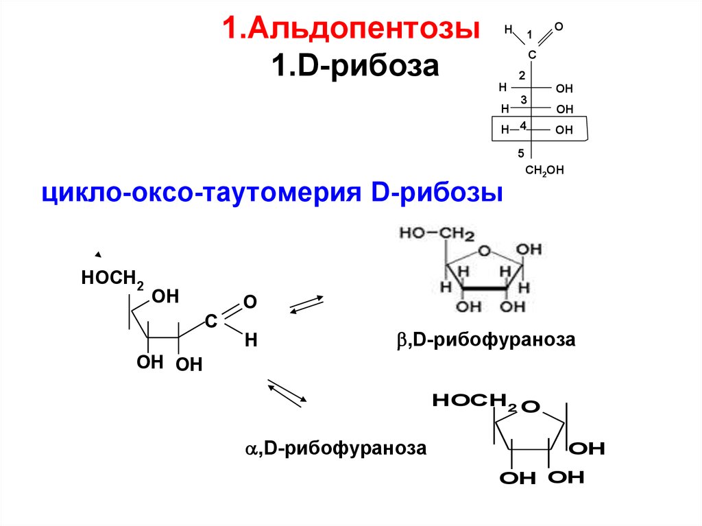 Мутаротация фруктозы схема