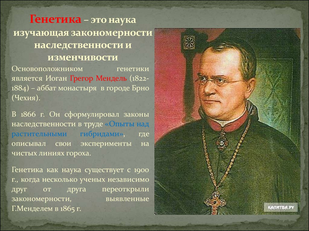 Изучение генетики. Грегор Мендель основоположник генетики. 2. Г. Мендель – основоположник генетики;. Генетика это наука о. Наука изучающая закономерности наследственности.