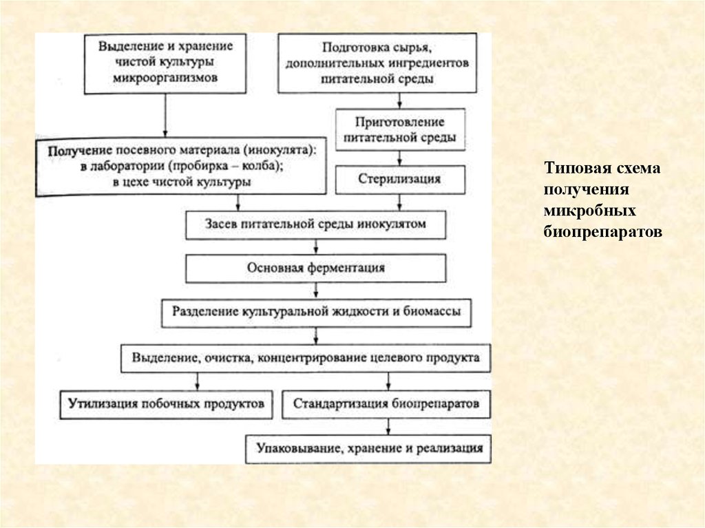 Производственные питательные среды в биотехнологической схеме получения лекарственных препаратов