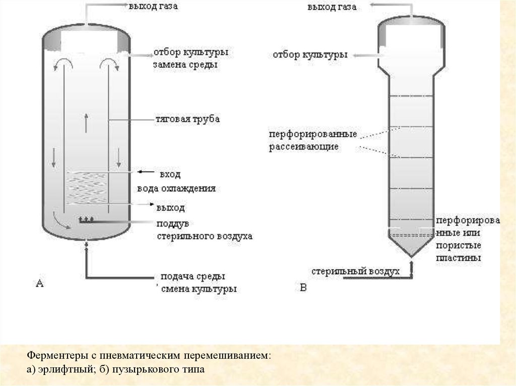 Выход газа. Ферментеры с пневматическим перемешиванием. Биореакторы с механическим перемешиванием схема. Эрлифтный ферментатор. Биореакторы с пневматическим перемешиванием схема.