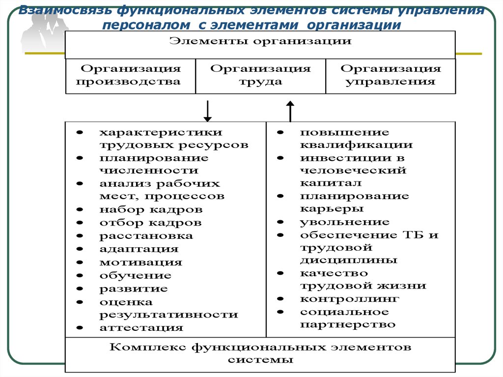 Элементы системы управления человеческими ресурсами. Элементы организации.