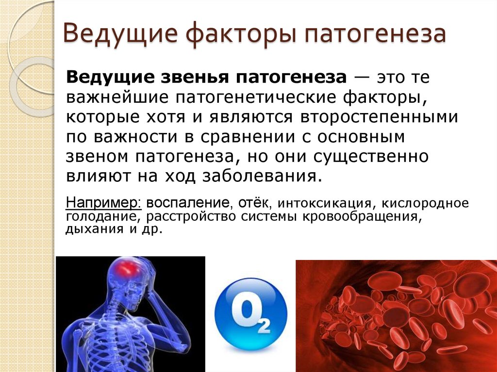 Ведущий фактор являться. Основное звено и ведущие факторы патогенеза. Ведущие звени патогенеза. Ведущие факторы патогенеза. Ведущие звенья патогенеза.