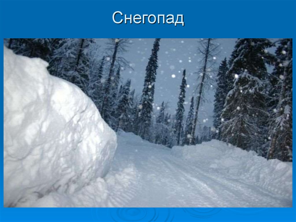 Снежное природное явление. Явления природы снег. Явления природы зимой. Неживая природа зимой. Снегопад это явление.