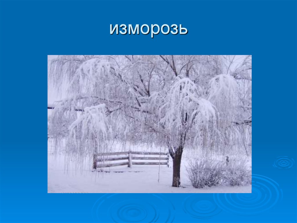 Охрана природы зимой 2 класс презентация перспектива