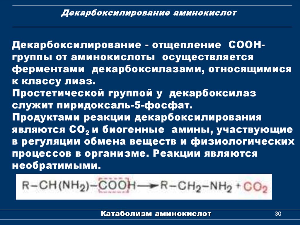 Декарбоксилирование аминокислот презентация