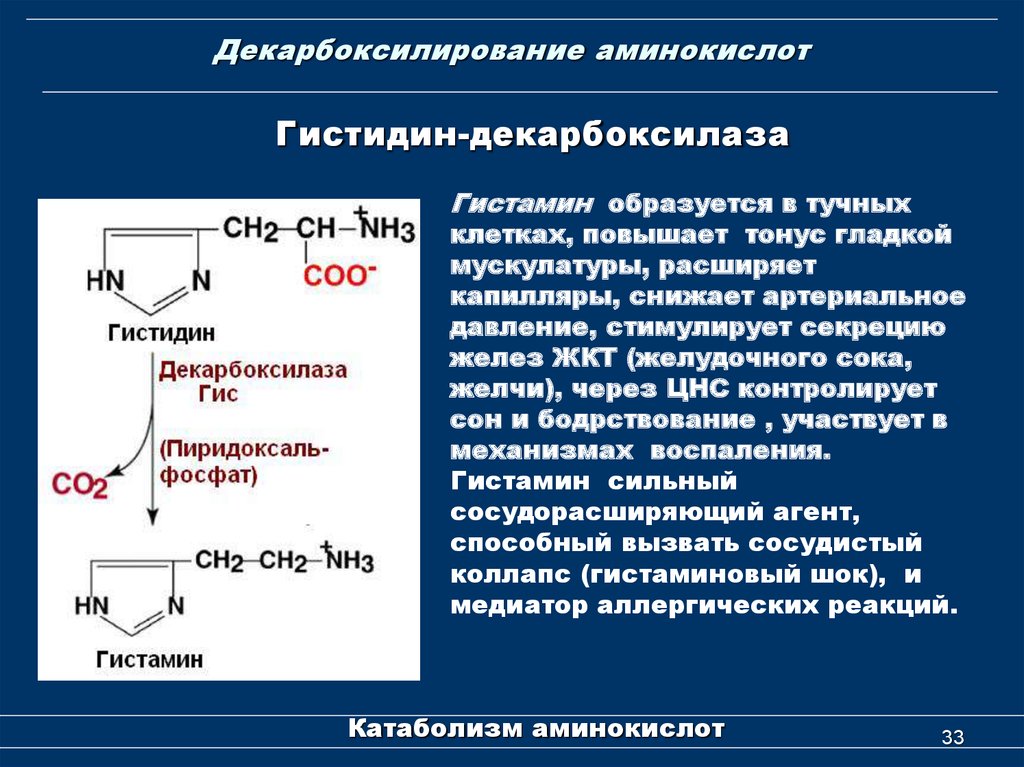 Какой биологический смысл в реакции переактивации ответ. Декарбоксилирование аминокислот кофермент. Декарбоксилирования аминокислоты гистидина. Декарбоксилирование аминокислоты ггистидина. Декарбоксилирование триптофана.