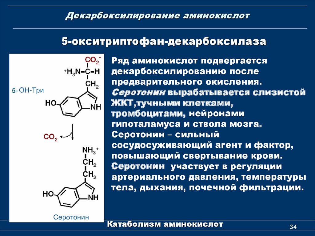 Место синтеза аминокислот. Триптофан декарбоксилаза. Реакция декарбоксилирования 5 окситриптофана. Кофермент декарбоксилаз аминокислот. Декарбоксилирования аминокислоты триптофана.