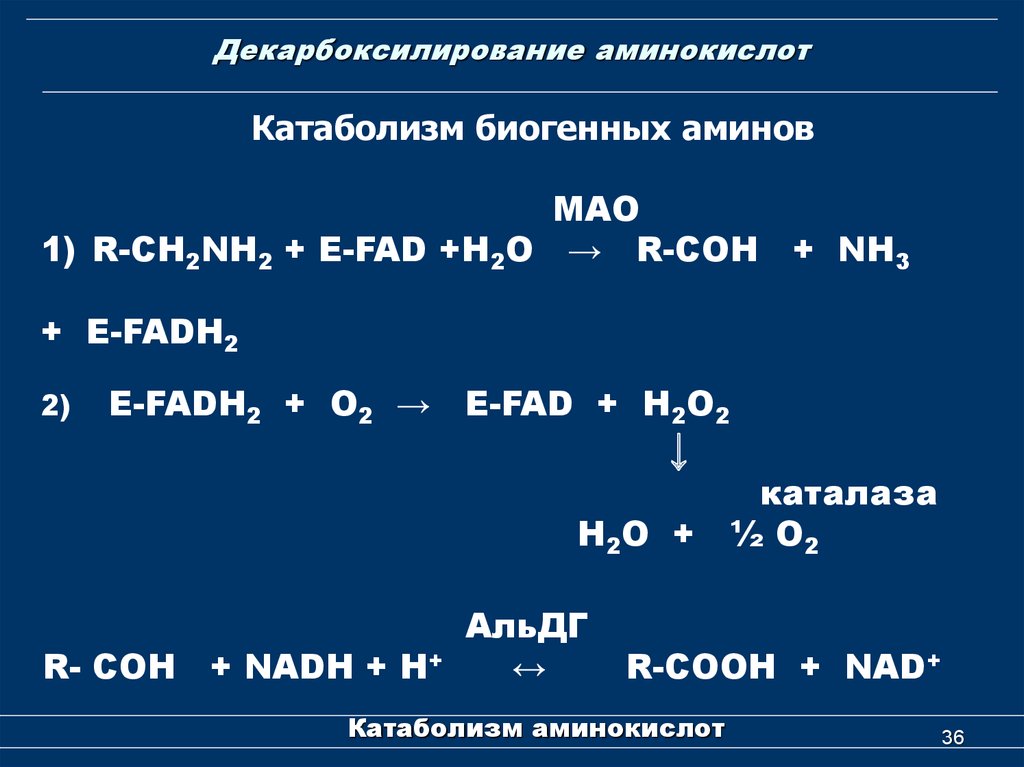 Декарбоксилирование аминокислот презентация