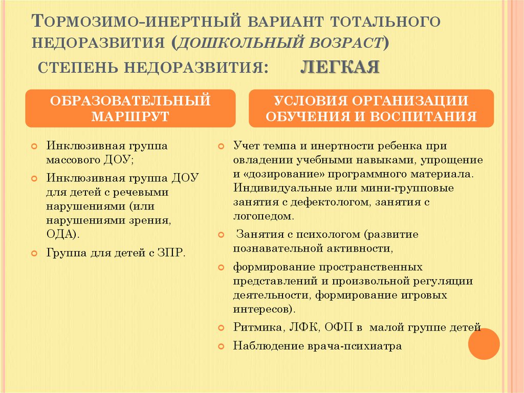 Тормозимо-инертный вариант тотального недоразвития (дошкольный возраст) степень недоразвития: легкая