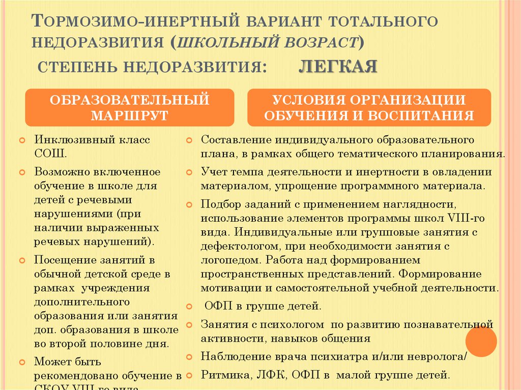Тормозимо-инертный вариант тотального недоразвития (школьный возраст) степень недоразвития: легкая