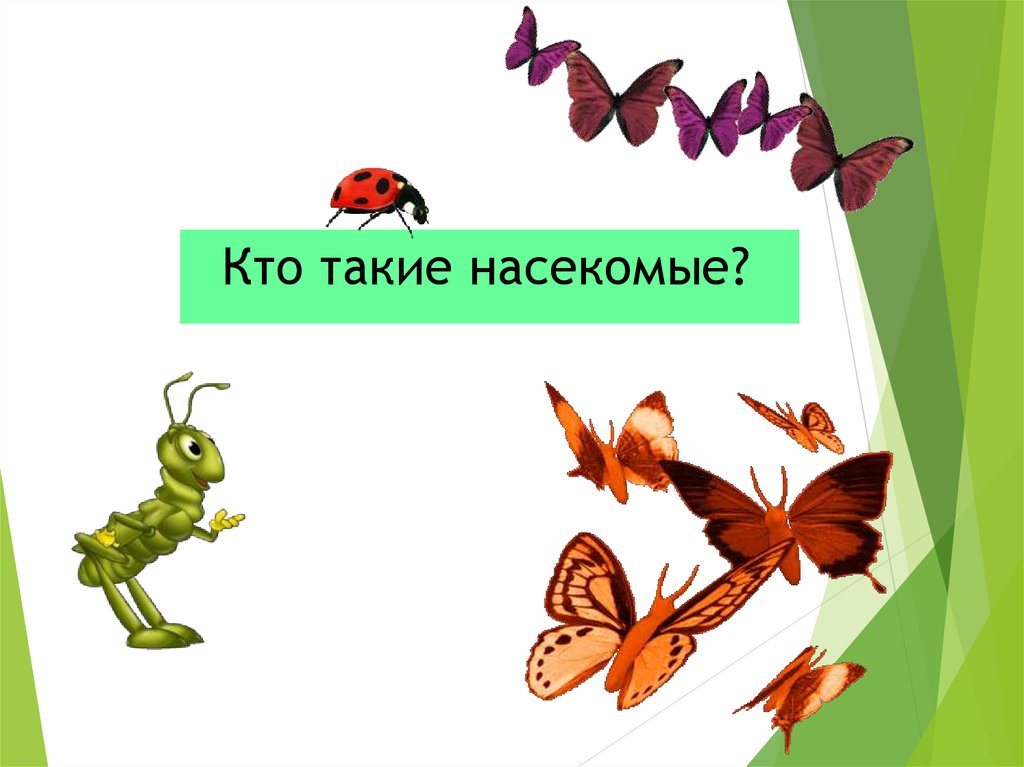 Презентация кто такие насекомые. Кто такие насекомые. Кто такие насекомые 1 класс. Окружающий мир 1 класс Плешаков насекомые. Кто такие насекомые презентация.