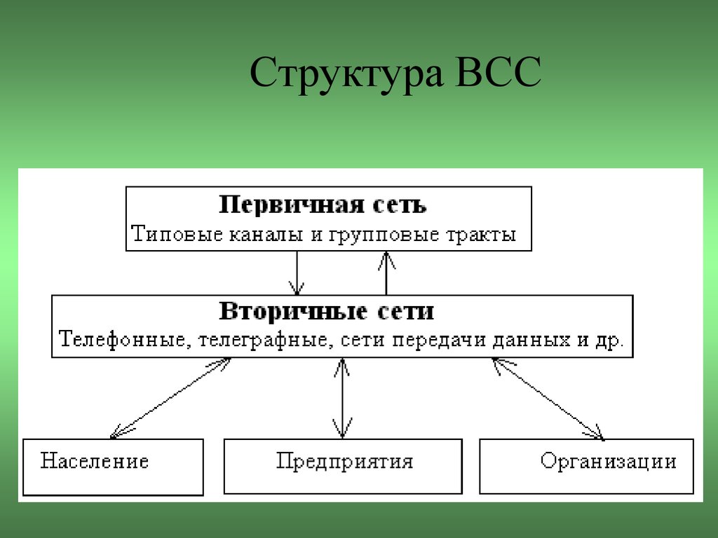 Пример первичной организации. Структура первичной сети. Структура вторичной сети связи. Структура первичной сети связи. Структура ВСС.