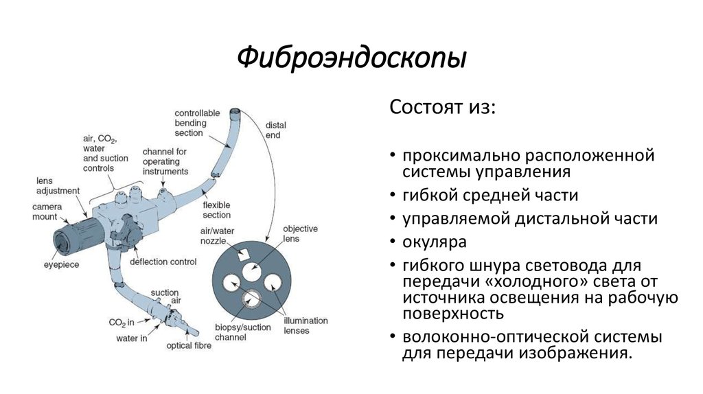 Фиброэндоскопы