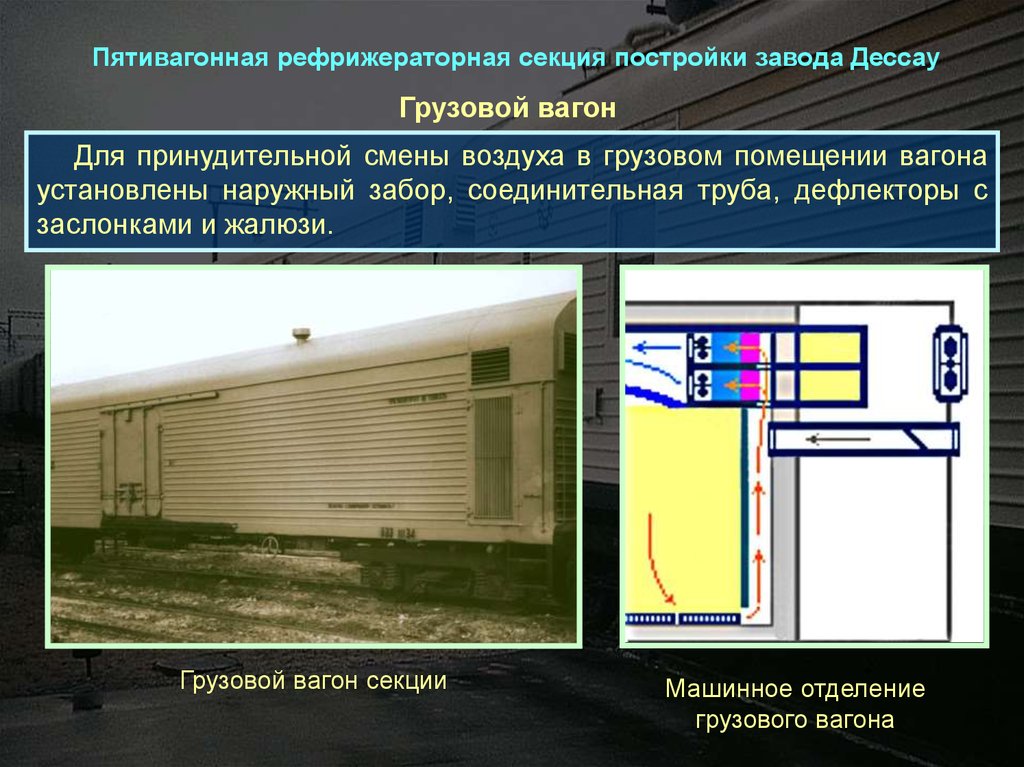 Помещение вагона. Рефрижераторная секция постройки завода Дессау. Пятивагонная рефрижераторная секция. Пятивагонная рефрижераторная секция постройки завода Дессау. Рефрижераторные секции Дессау.