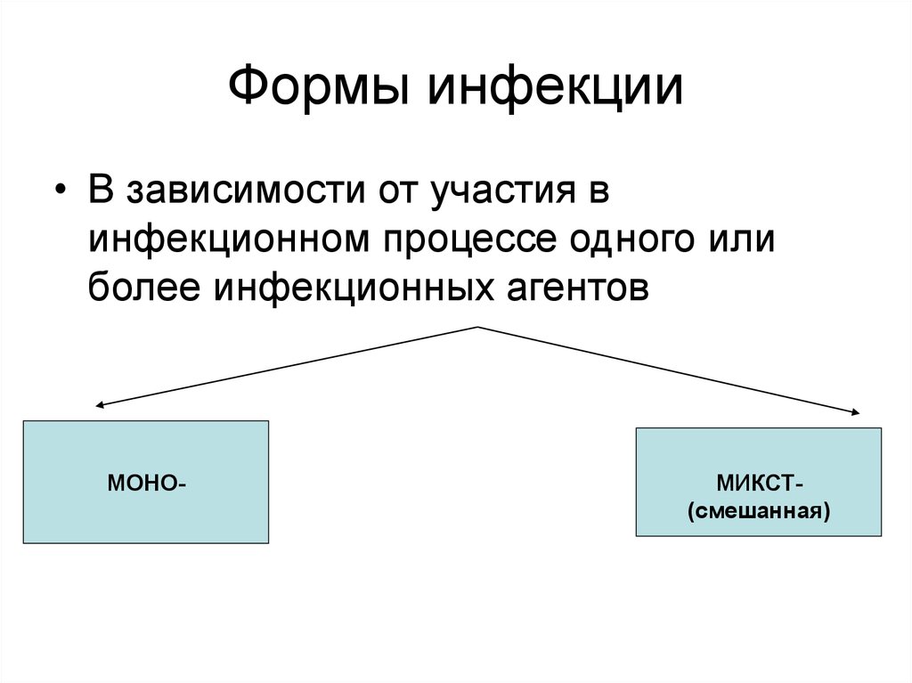 Учение об инфекционном процессе