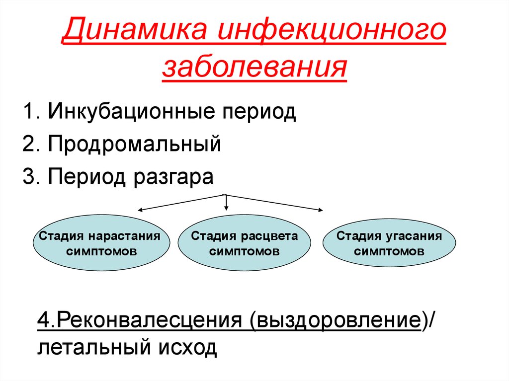 Динамика инфекционного процесса