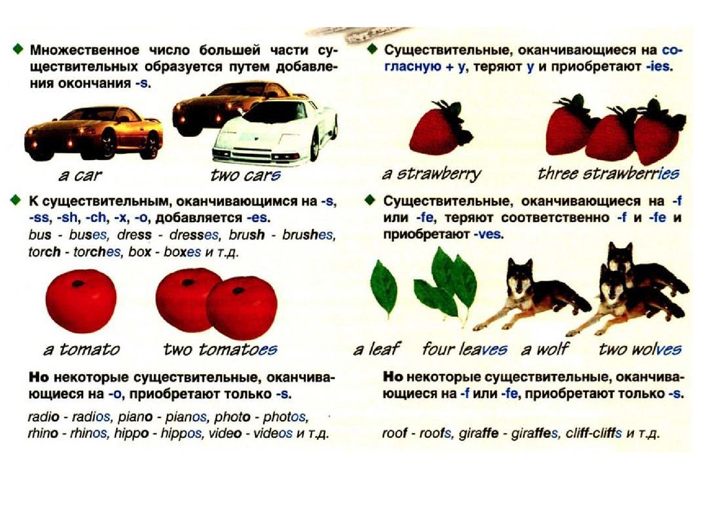 Яблоко множественное число. Единственное и множественное число исключения. Множественное число существительных в английском языке упражнения. Roof во множественном.