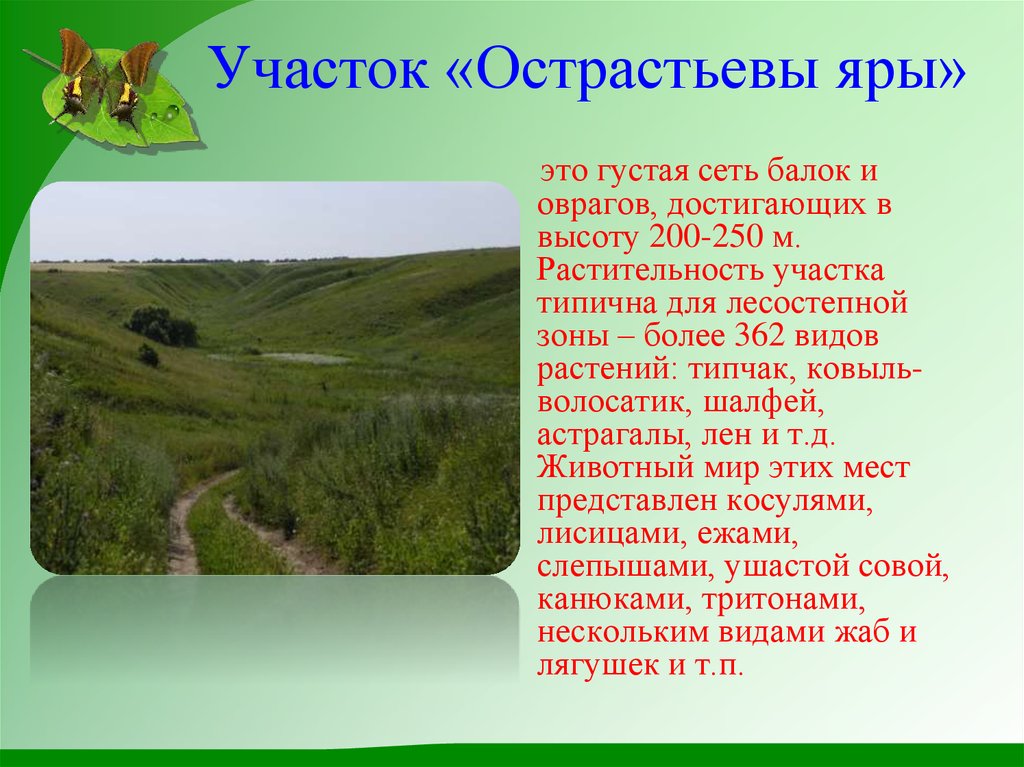 Заповедники белгородской области проект