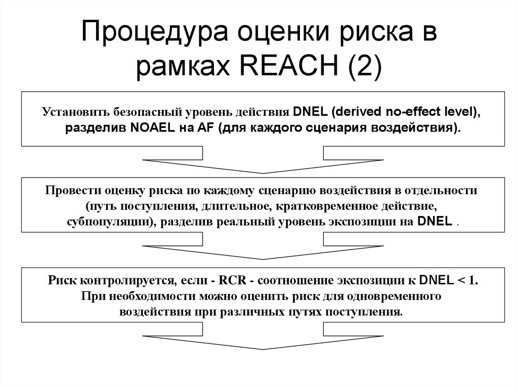 Процедура оценки риска в рамках REACH (2)