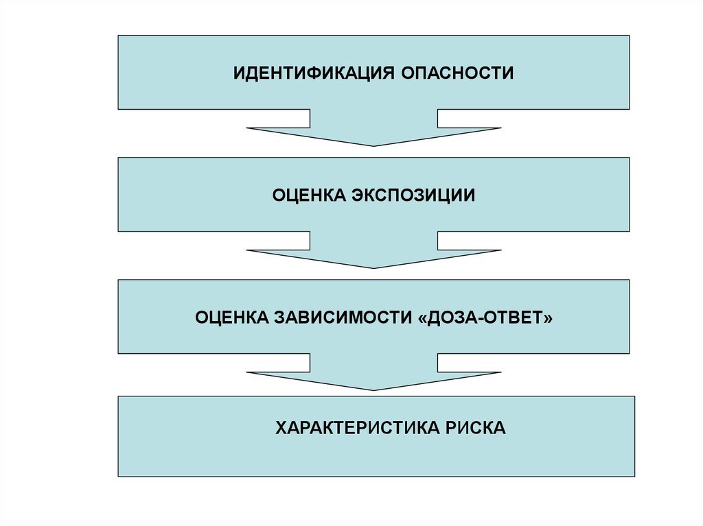 Экспозиция оценка