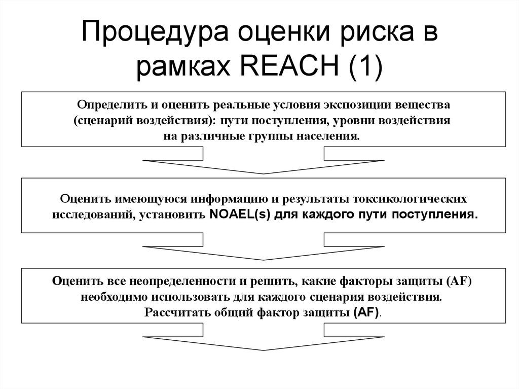 Процедура оценки риска в рамках REACH (1)