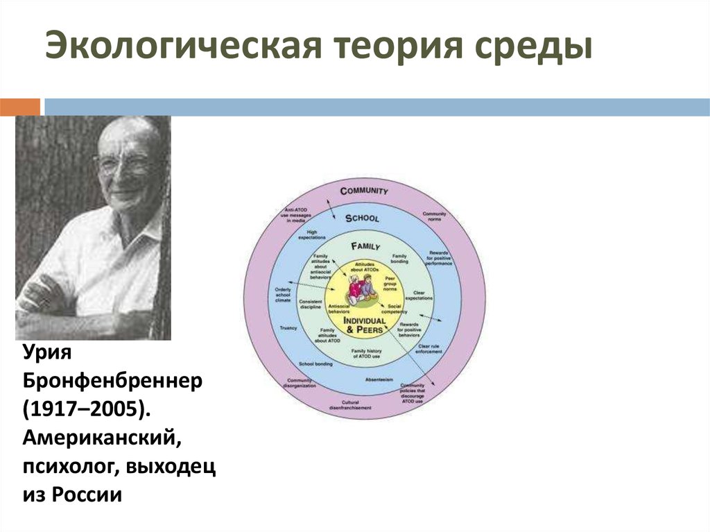 Теория среды. Теория экологических систем Ури Бронфенбреннера. Экологическая теория развития ребенка Бронфенбреннера. Экологическая теория. Экологическая среда Бронфенбреннер.