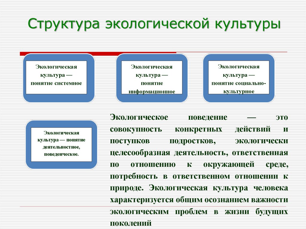 Время экологической культуры 11 класс презентация