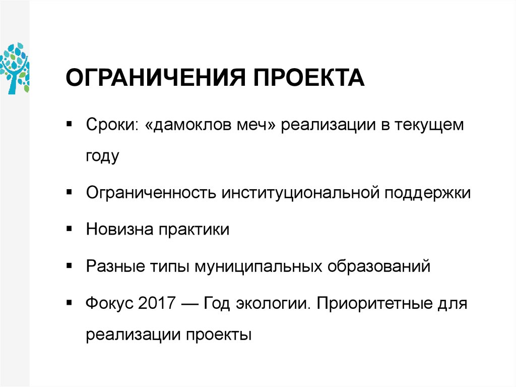 Ограничения реализации проекта