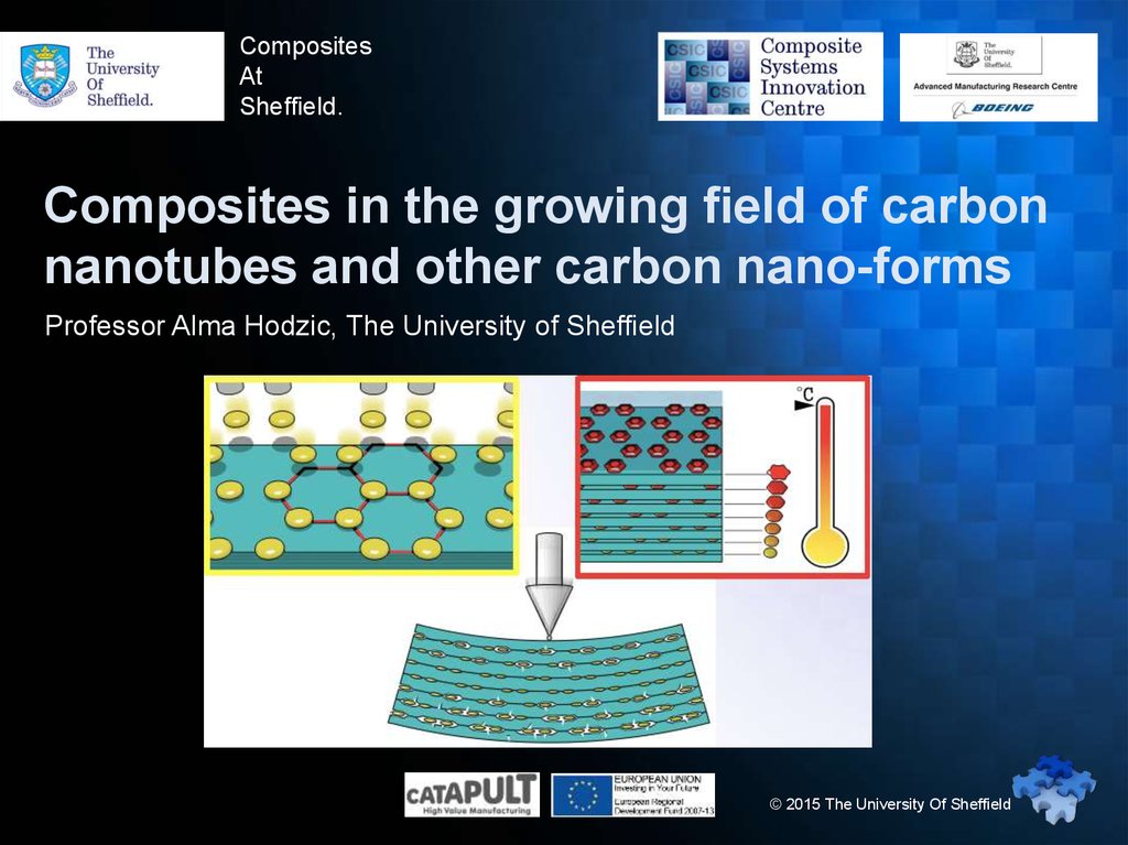 Carbon fields