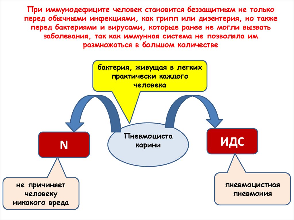 Обычно перед