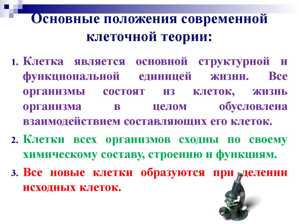 Положение клетки теории. Современной клеточной теории соответствует следующее положение. Согласно клеточной теории клетка это единица. Функции клеточной жизни.