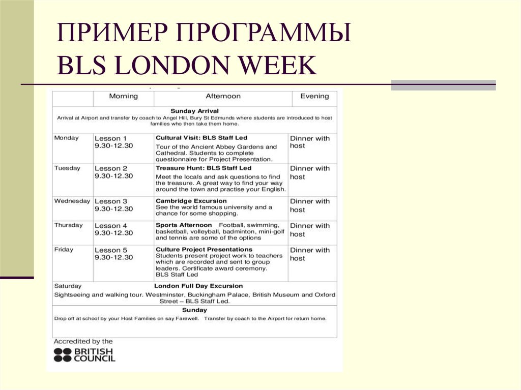 Образец программы конференции