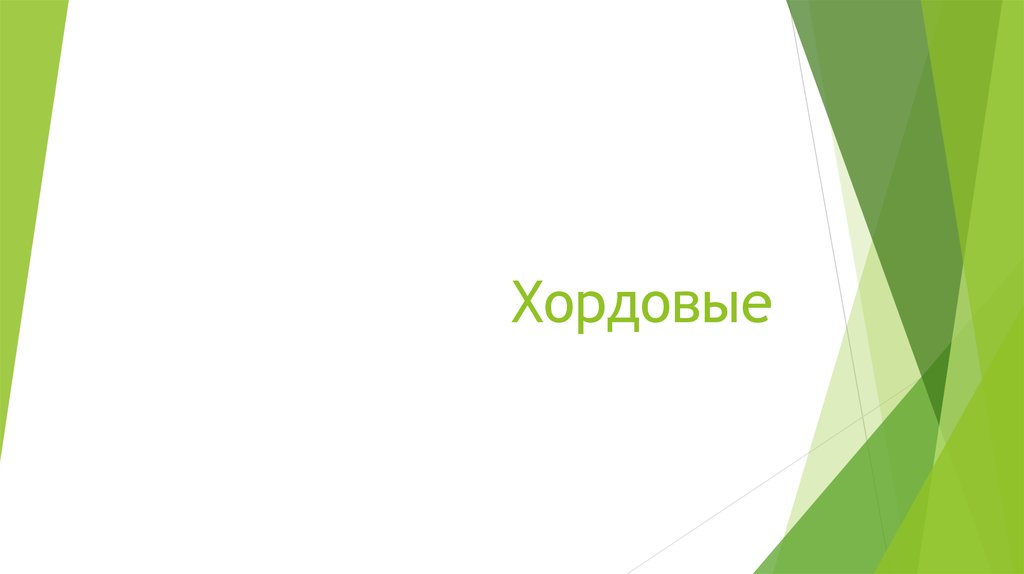 Хордовые. Основные признаки хордовых - презентация онлайн