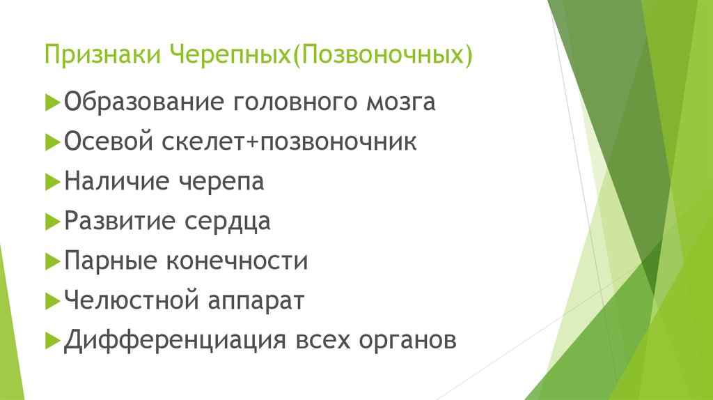 Человек относится к типу подтипу. Подтип Черепные признаки. Подтип позвоночные признаки. Особенности позвоночны. Подтип позвоночные общая характеристика.