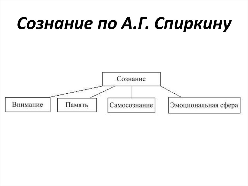 Структура сознания схема