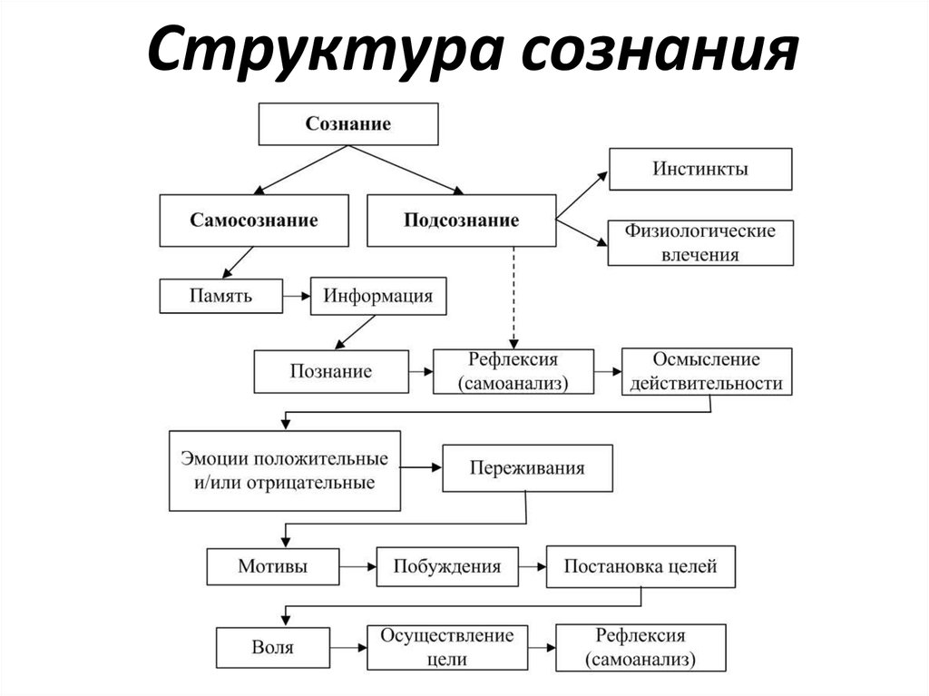 Схема структуры сознания