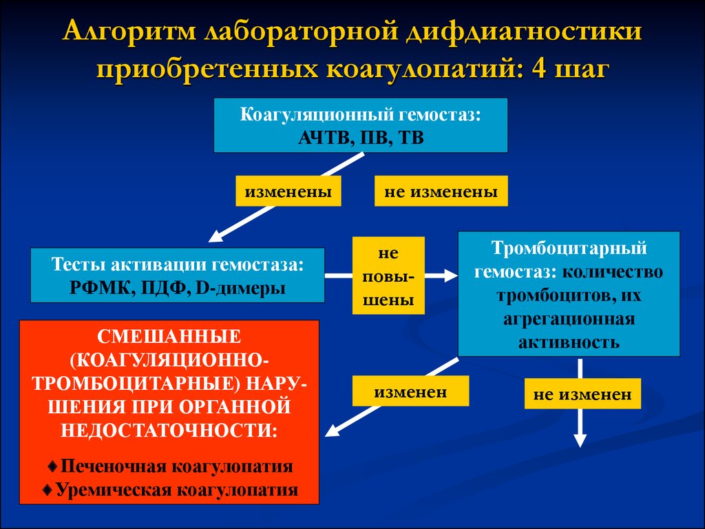 Алгоритм лаборатория