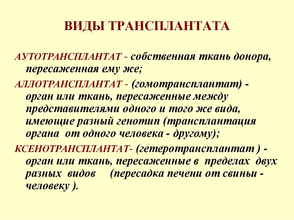 Трансплантационный иммунитет презентация