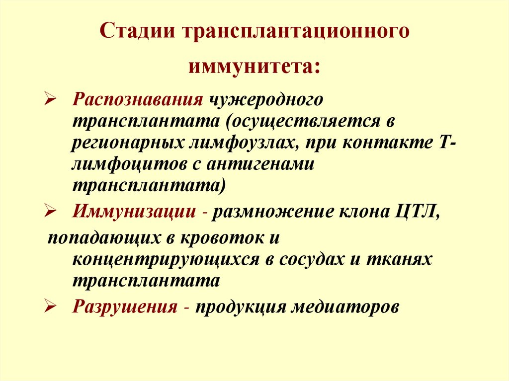 Трансплантационный иммунитет иммунология презентация